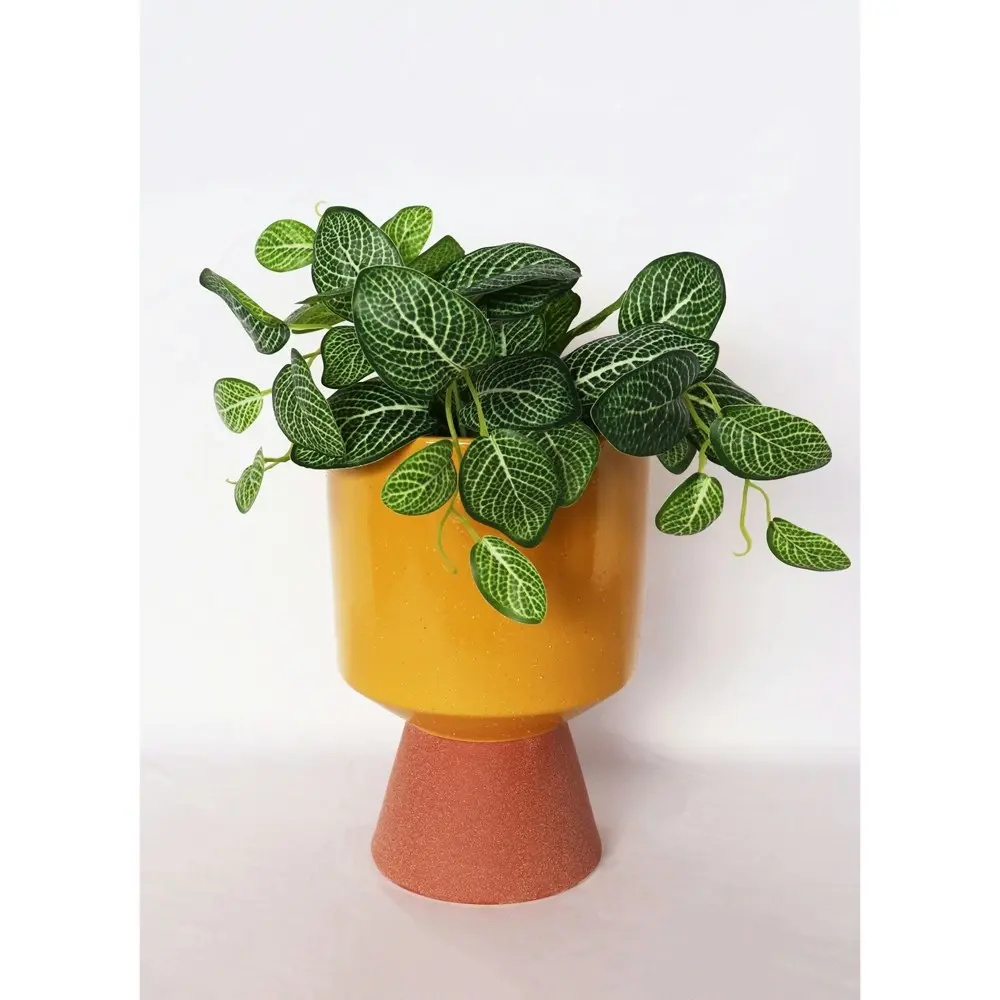 Urban Brynn 24cm Ceramic Tall Planter Flower/Plant Pot Large Mustard/Terracotta