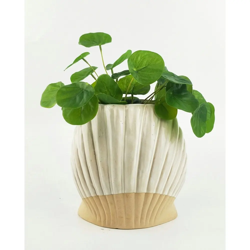 2x Urban Clam Shell 17cm Ceramic Planter Flower/Plant Pot Home Desk Decor White