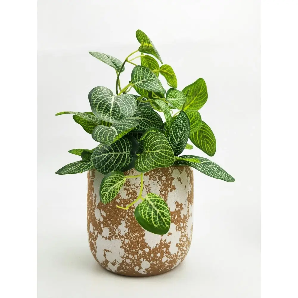 2x Urban Murphy 14cm Ceramic Planter Flower/Plant Pot Home Tabletop Decor Terra