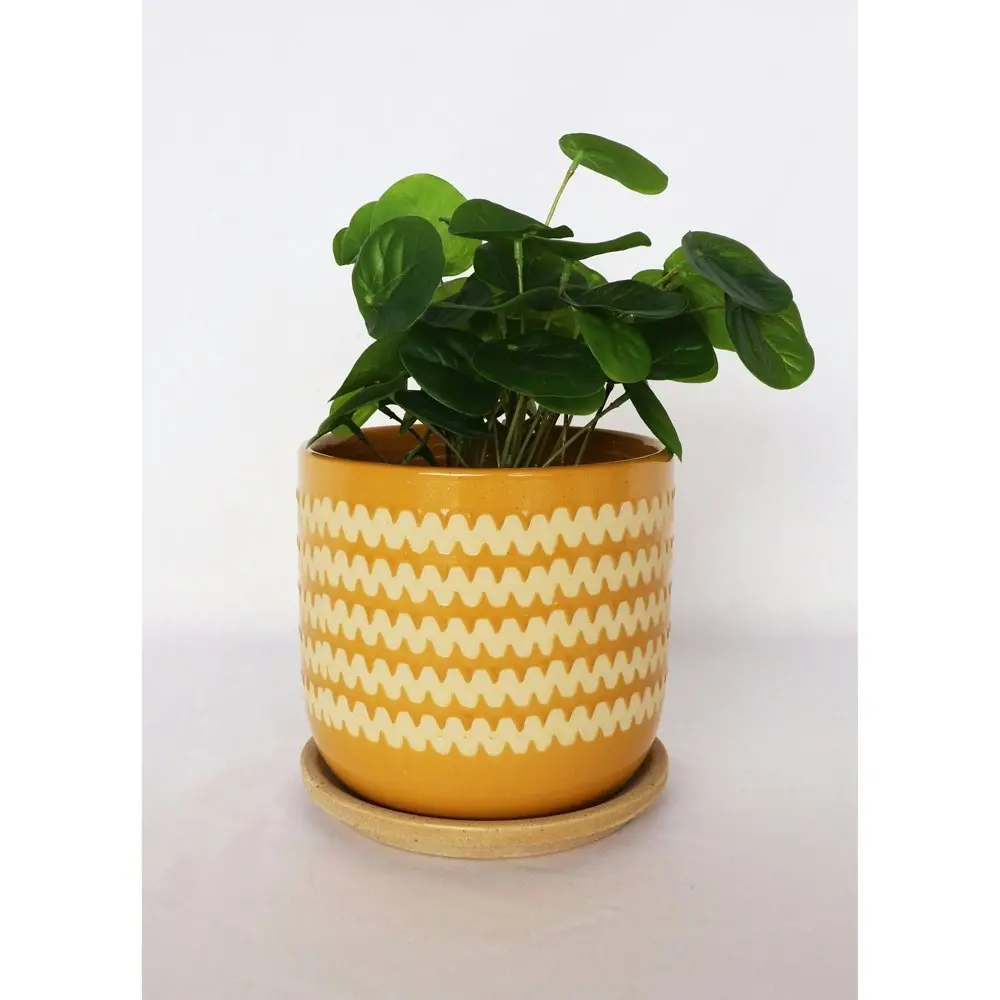 2x Urban Onyx 15cm Ceramic Planter w/ Saucer Flower/Plant Pot Med Mustard/Sand