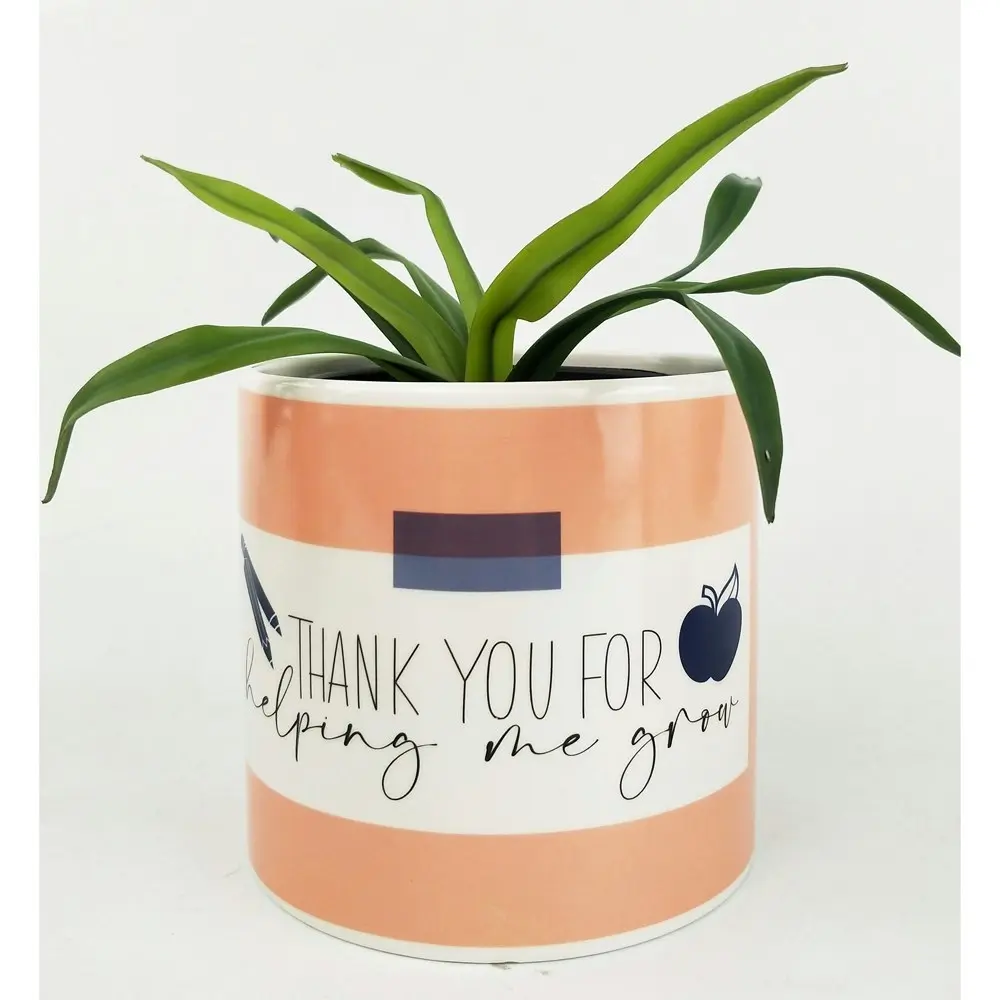 2x Urban Thank You for Helping Me Grow 12cm Planter Plant Pot Small Pink/Navy