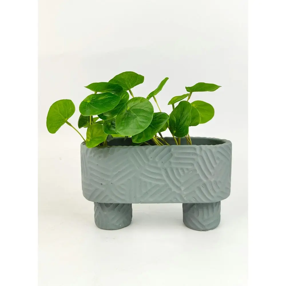 4x Urban Enola 20cm Concrete Long Planter Flower/Plant Pot w/ Legs Decor Blue