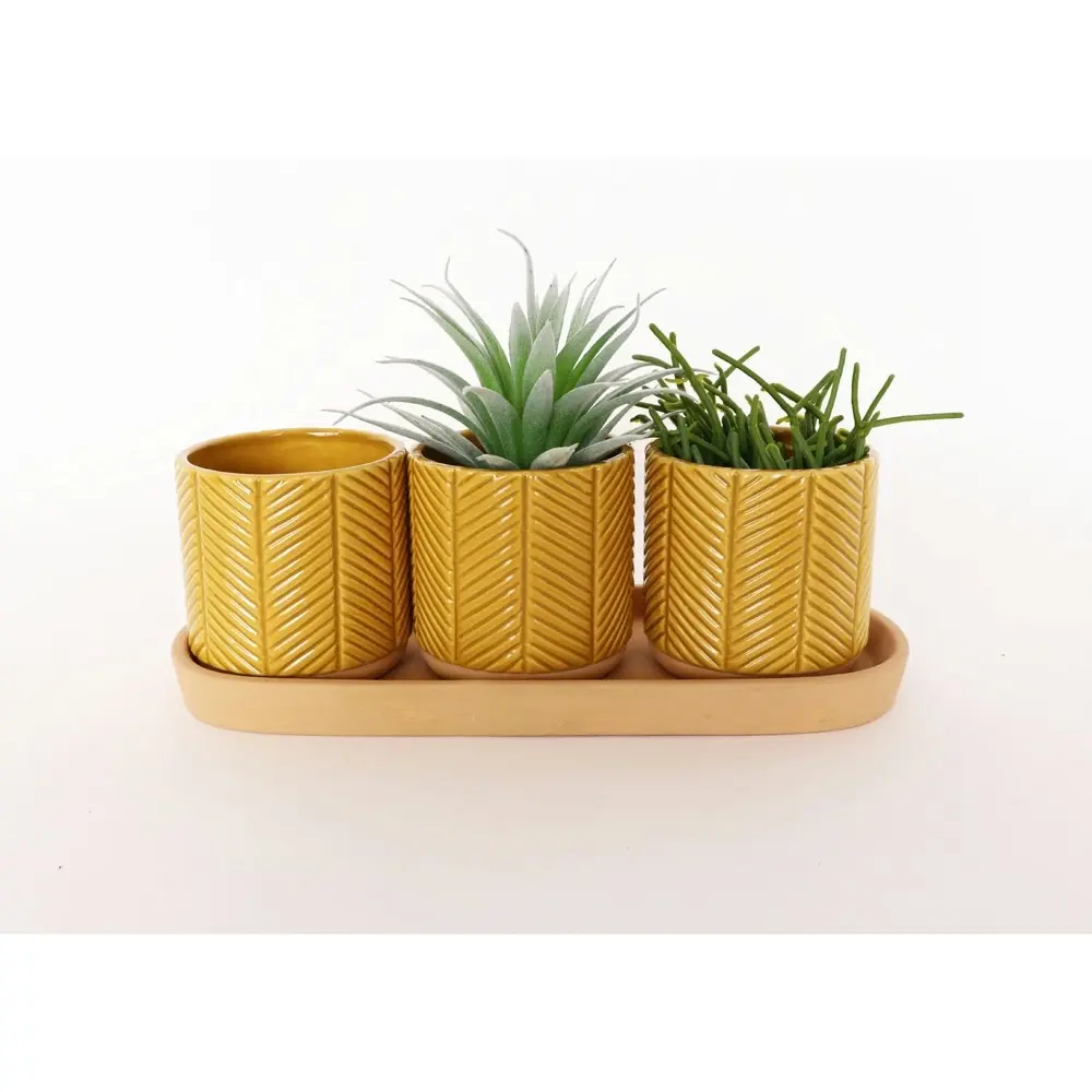 2x 3pc Urban Zari 8cm Ceramic Planter w/ Saucer Flower/Plant Pot Decor Mustard