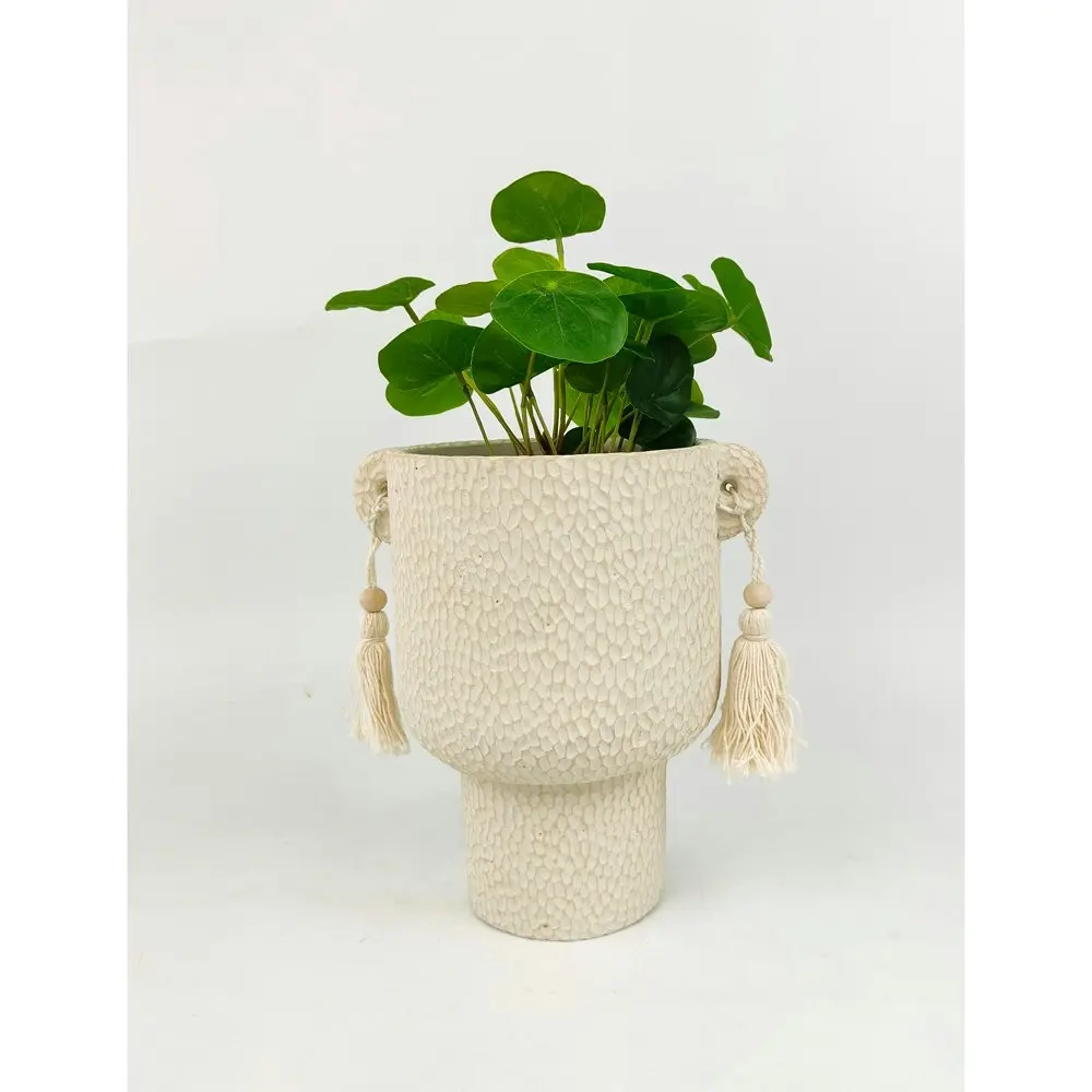 2x Urban Kinsley 20cm Concrete Planter Flower/Plant Pot Home Decor Large Cream