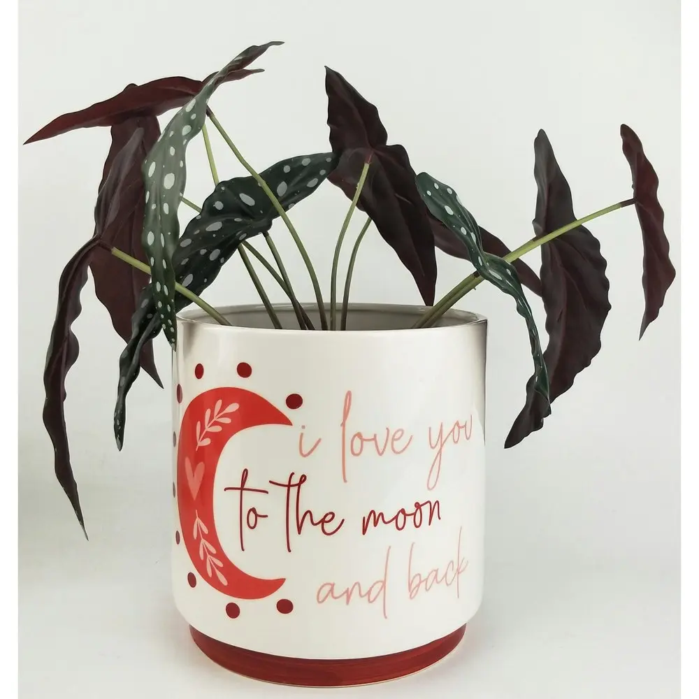 Urban 19cm Ceramic Planter I Love You To The Moon Back Garden Plant Pot Pink