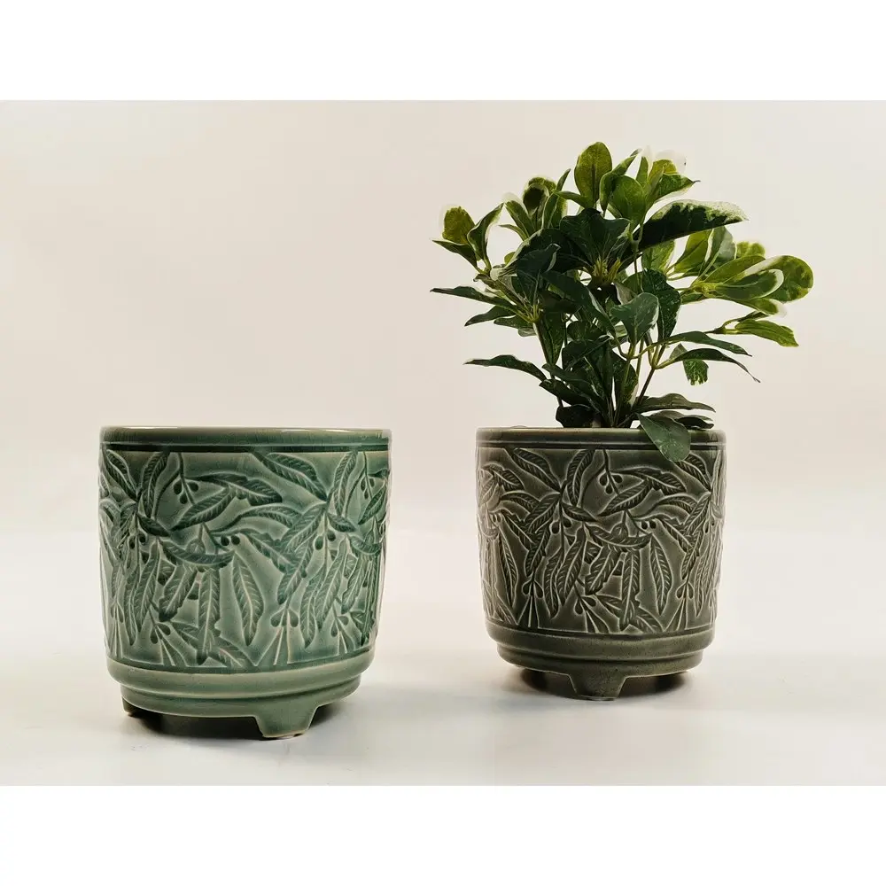 Urban 14cm Ceramic Maeve Folaige Planter Plant Pot Home/Garden Decor Forrest