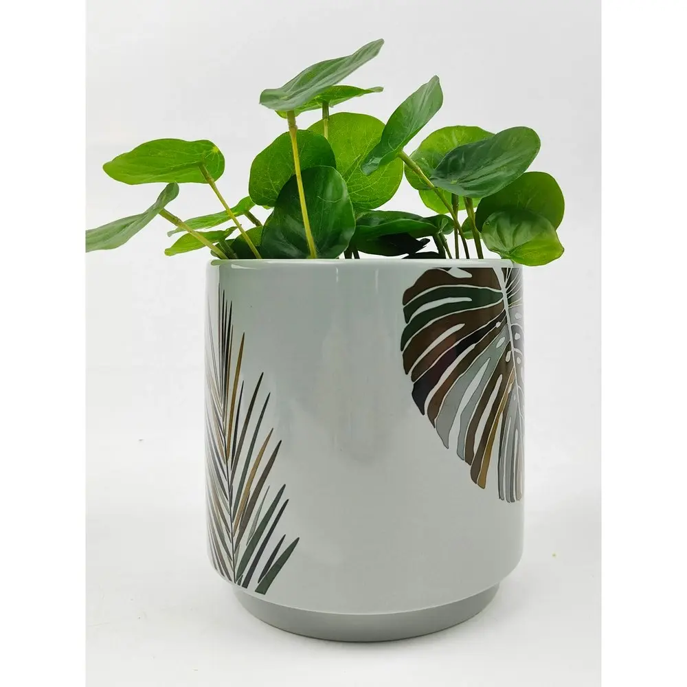 Urban 13cm Ivy Foliage Ceramic Planter Garden Decor Plant/Flower Pot Small Green