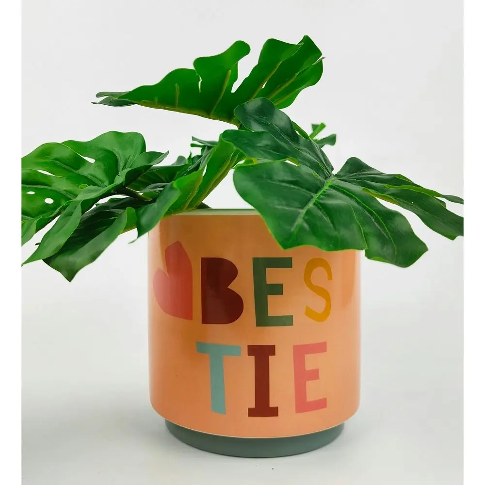 Urban 13cm Funky Quote Bestie Ceramic Planter Garden Plant/Flower Pot Beige