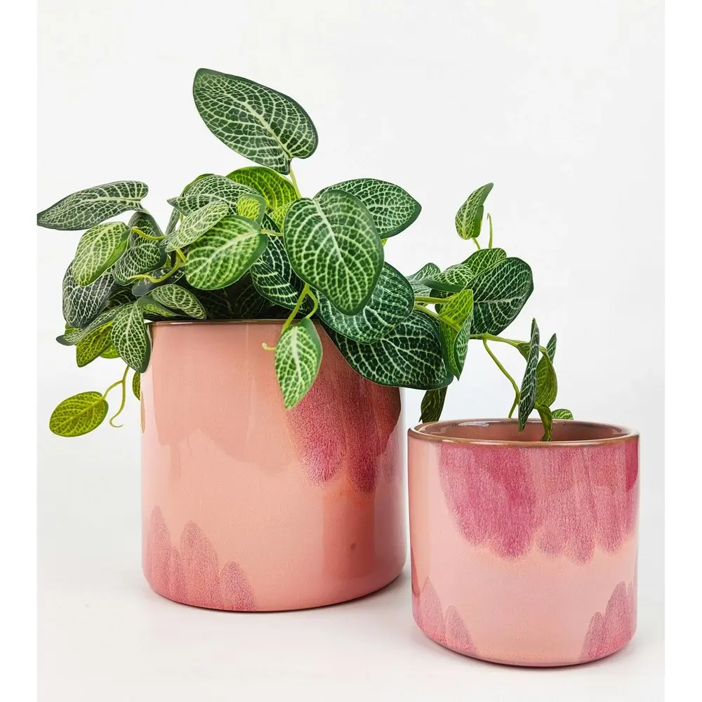 2x Urban 10cm Sofia Ceramic Planter Home/Garden Decor Plant Pot Med Pink/Storm