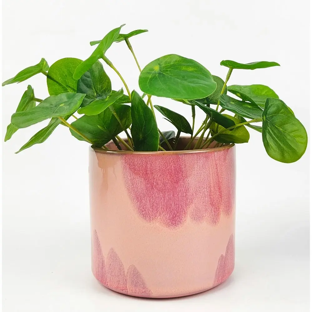 2x Urban 10cm Sofia Ceramic Planter Home/Garden Decor Plant Pot Med Pink/Storm