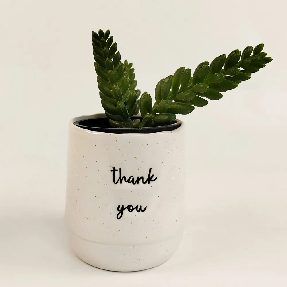 2x Urban 9cm Ceramic Thank You Planter Plant/Flower Pot Home/Garden Decor White