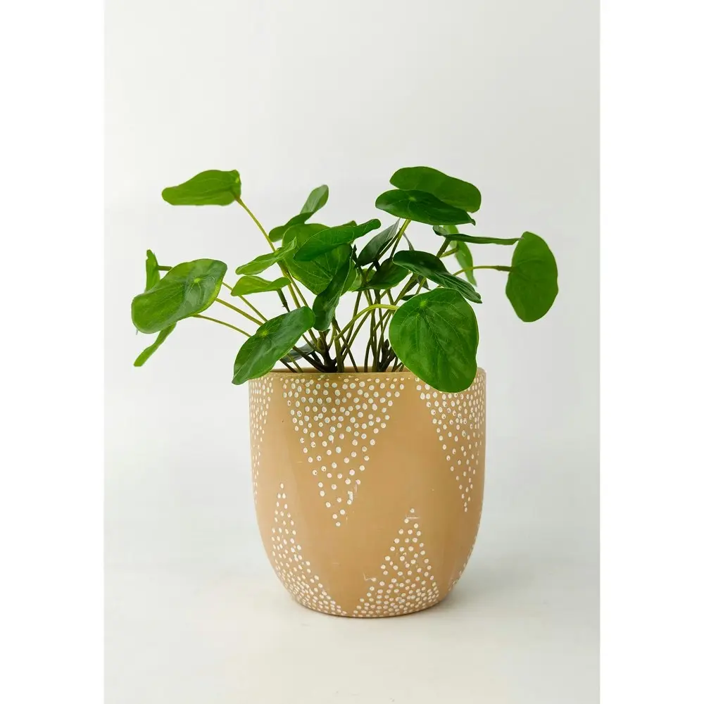 4x Urban Paige Peak 13cm Concrete Planter Flower/Plant Pot Decor Small Sherbet