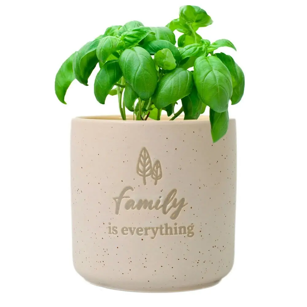 2PK Family 10x10cm Positive Affirmations Ceramic Planter Pot w/Drainage Hole