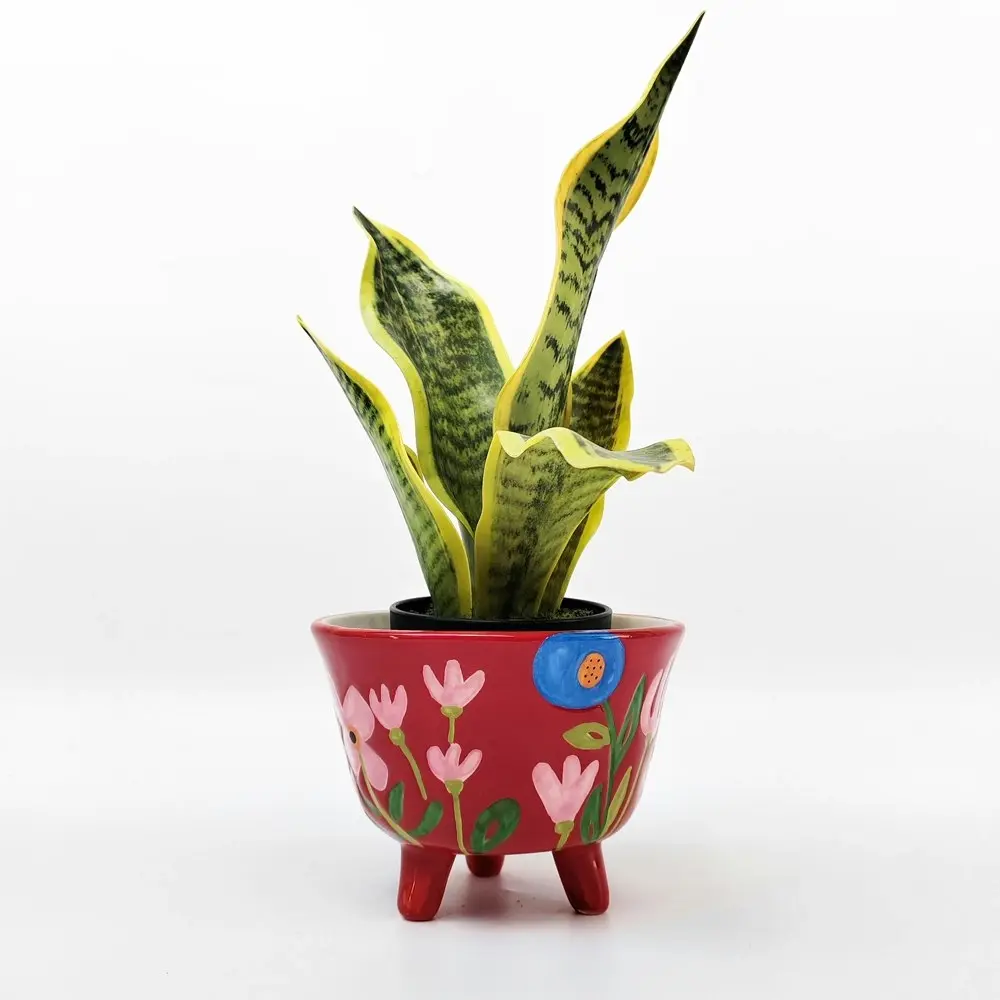 Urban Products Naive Floral Home Garden Decor Decorative Planter Red 16cm