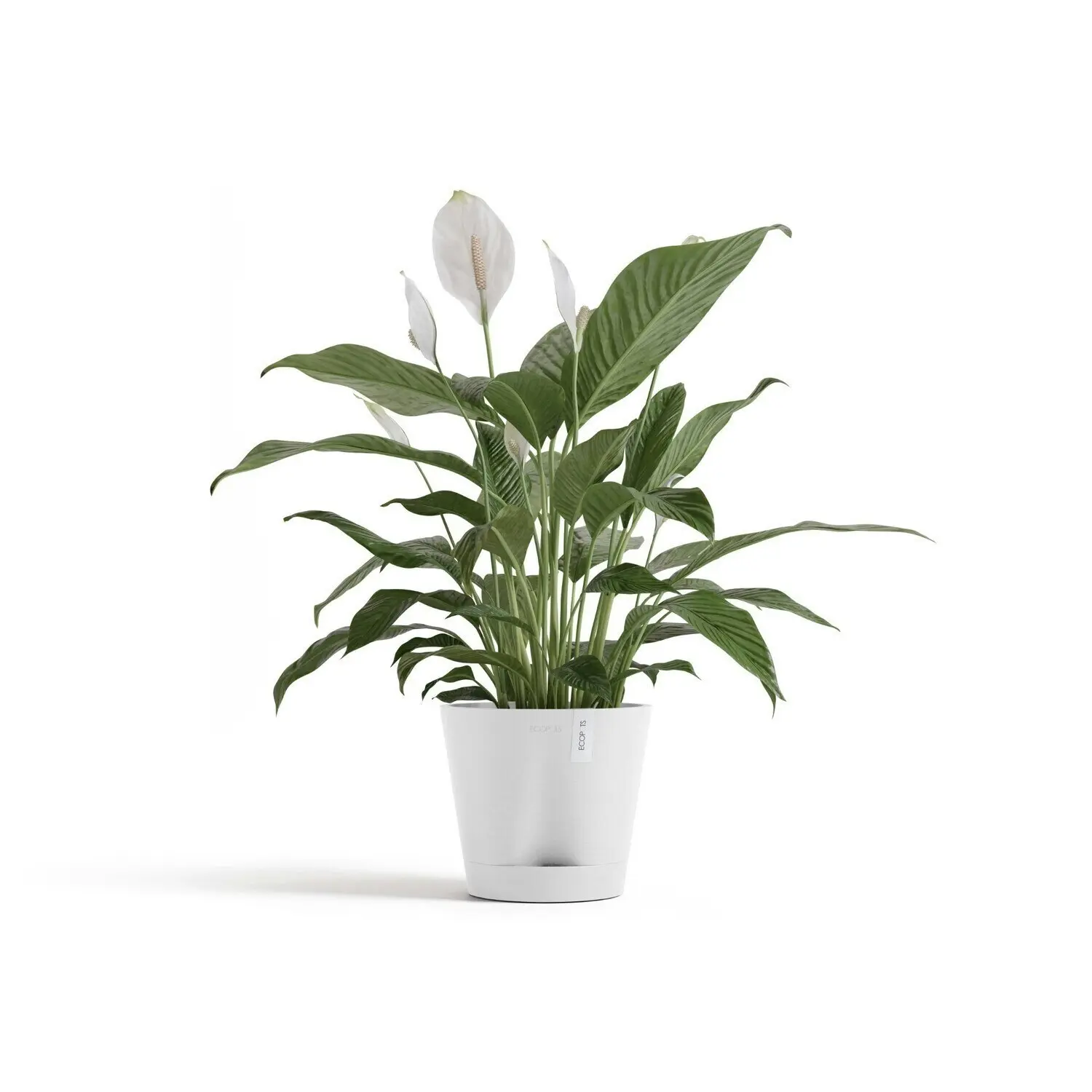 Ecopots Venice 20cm Home Indoor/Outdoor Decor Garden Plant Pot Pure White