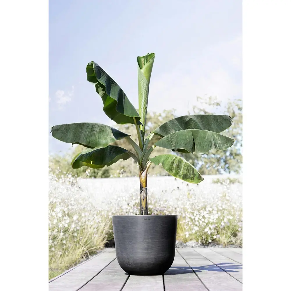 Ecopots Oslo 45cm Home Indoor/Outdoor Decor Garden Plant Pot Dark Grey