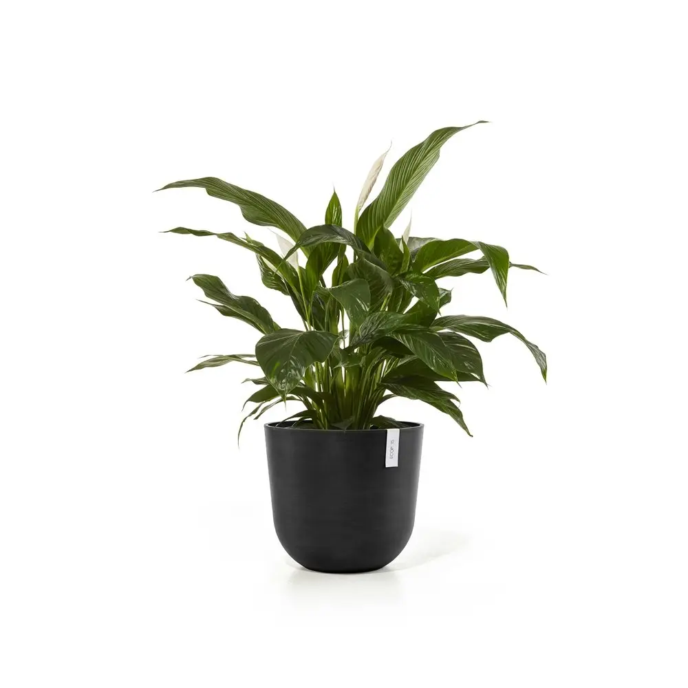 Ecopots Oslo 45cm Home Indoor/Outdoor Decor Garden Plant Pot Dark Grey