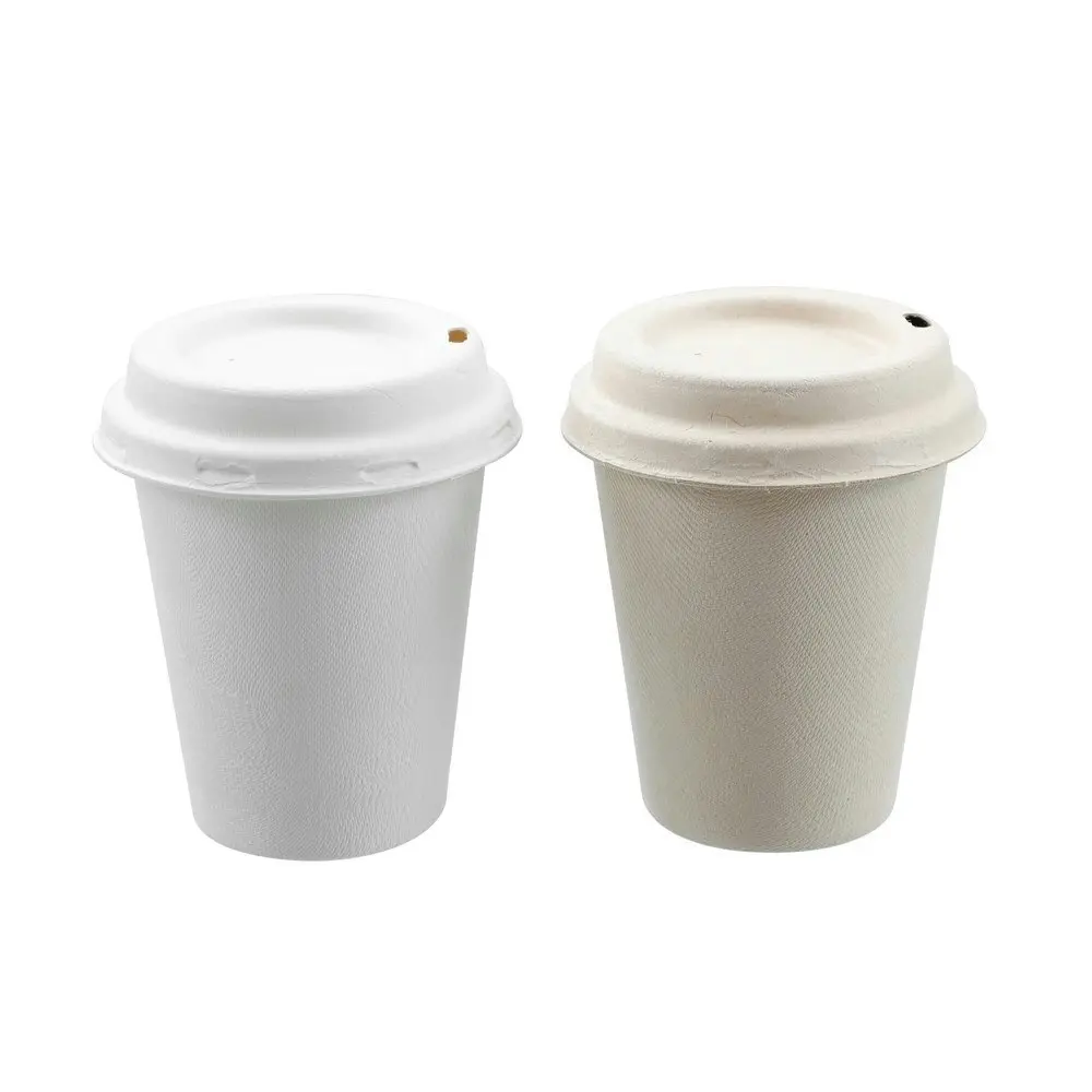 6x 15PK Lemon & Lime 250ml Eco Sugarcane Coffee Cup w/ Lid Biodegradable Sip Mug