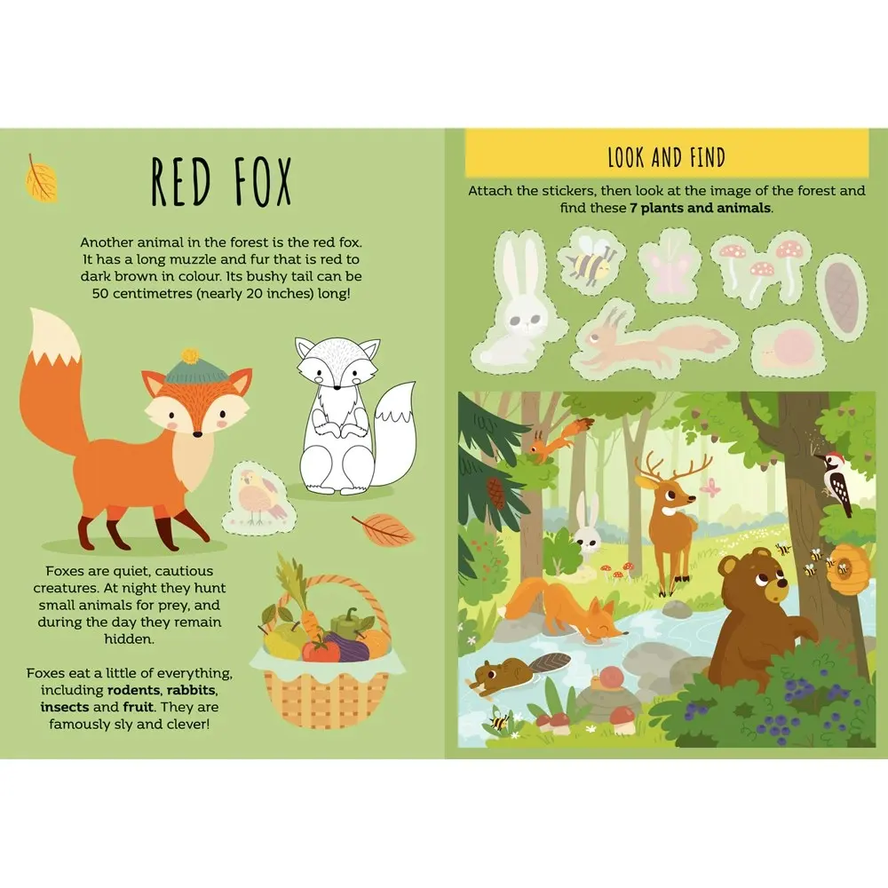 3x Sassi Stickers & Activities Book Kids/Children Learn Play Read The Forest 3y+