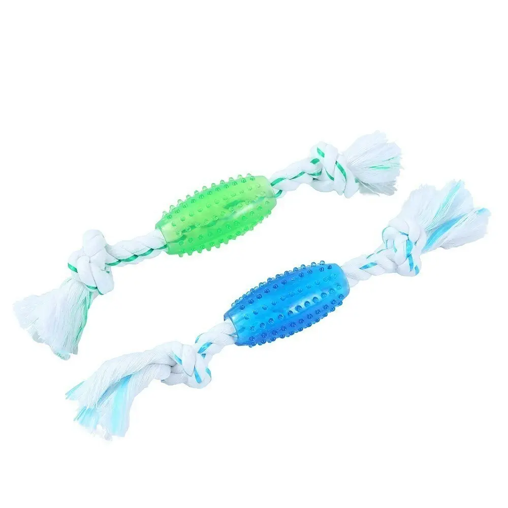 2x Paws & Claws 20cm Fresh Breath Pet Dental Rope Dog Toy Chew Bite Mint Aqua