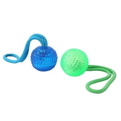 2x Paws & Claws 25cm TPR Rubber Ball & Rope Dog Pet Toy Interactive Game Fun