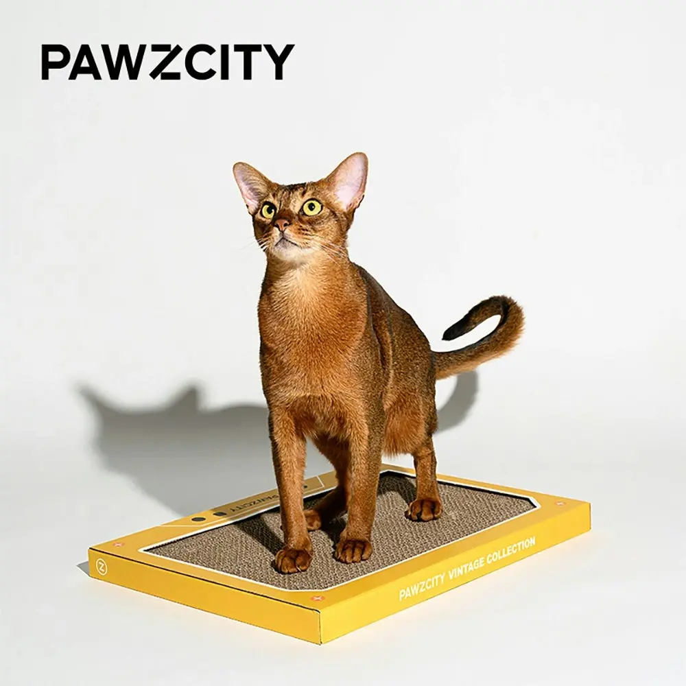 Pawzcity 45cm Cardboard Vintage Tape Cat/Kitten Scratching Board C Pet House Box