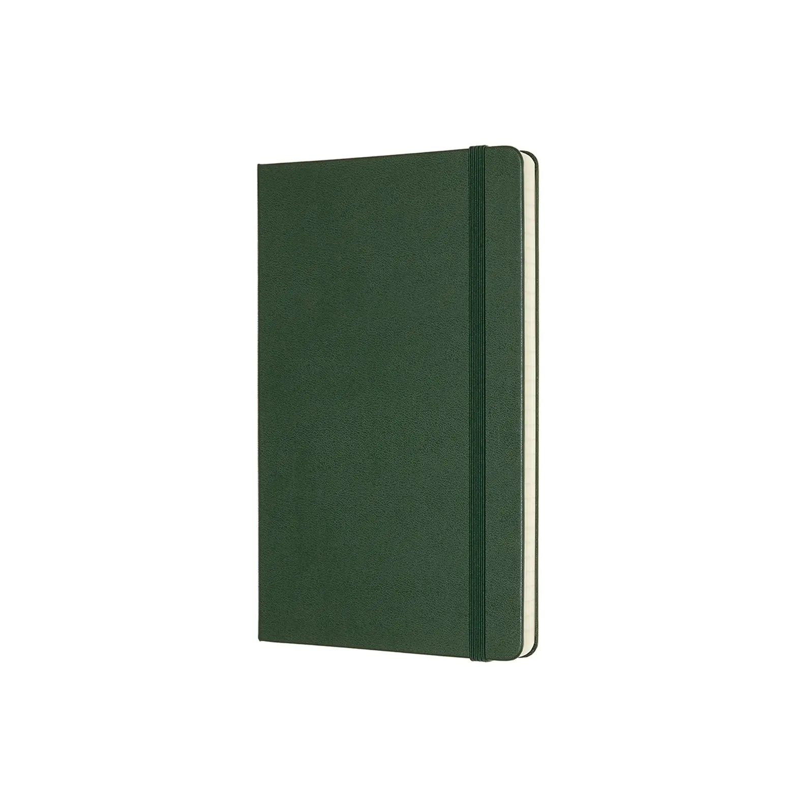 Moleskine Classic Hard Cover Ruled Notebook Office/Student Planner L Myrtle GRN