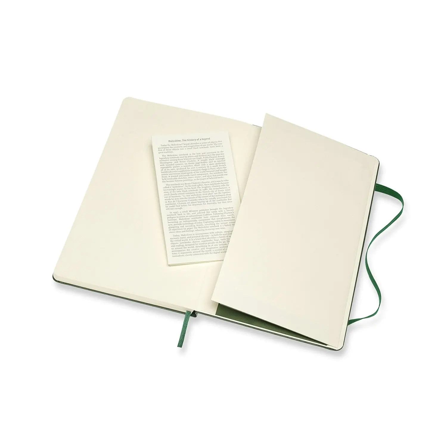 Moleskine Classic Hard Cover Notebook Plain Student Journal Pad L Myrtle Green