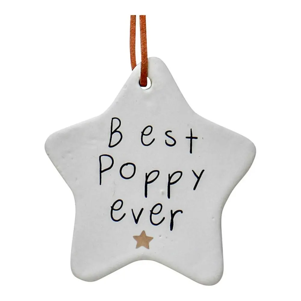 3x Ceramic Hanging 9cm Star Best Poppy w/Ribbon Ornament Home/Office Room Decor