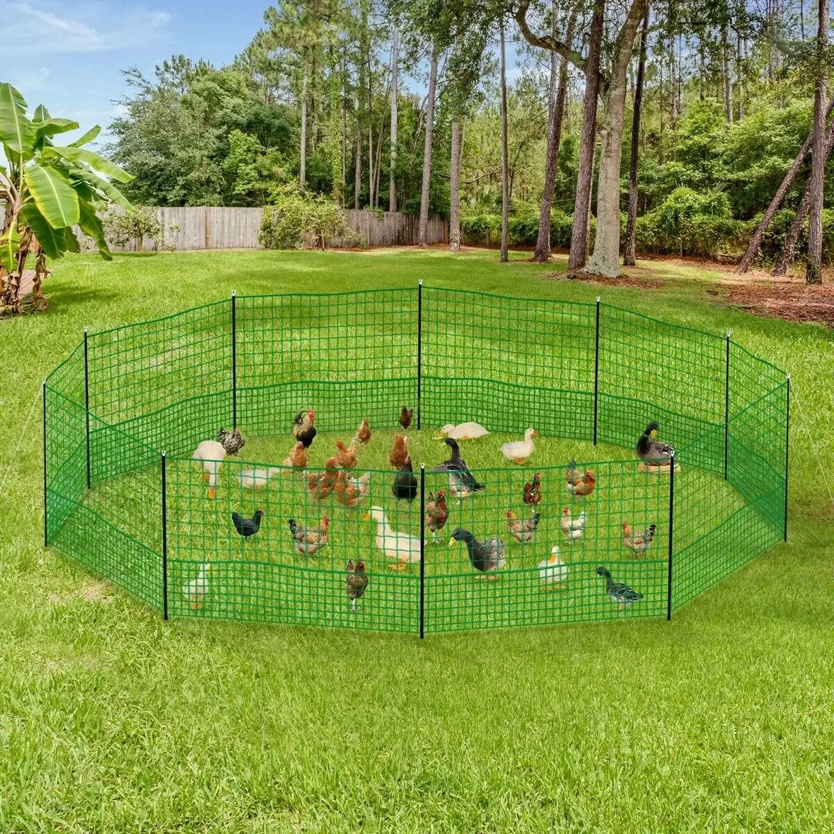 Pet Scene Chicken Fence Poultry Runs Coop Farm Pen Mesh Cage Net Habitat House Safe Turkey Breeding 1.15m x 30m