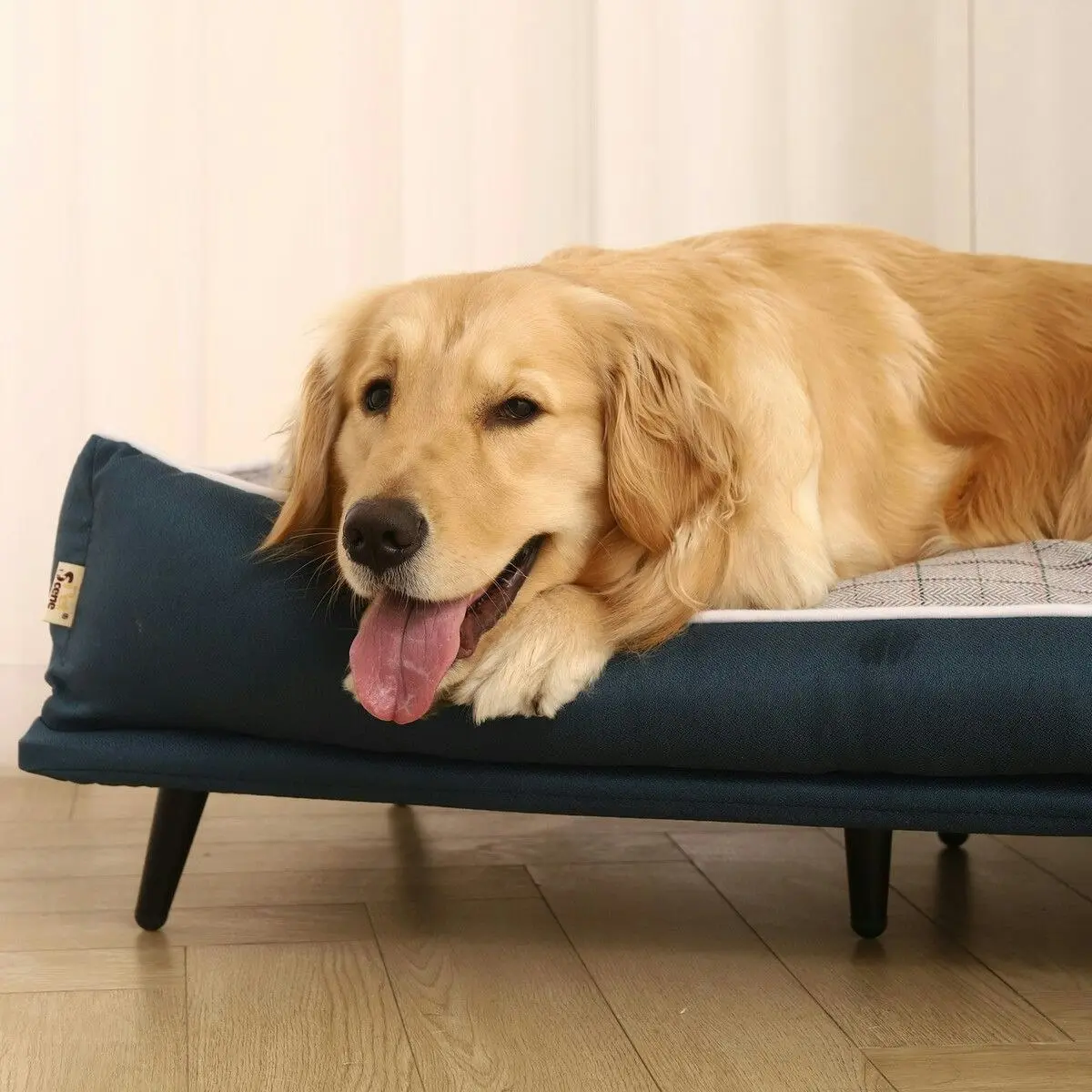 Pet Scene Large Pet Dog Bed Puppy Sofa Cat Couch Doggy Lounge Chaise Furniture Raised Elevated Soft Cushioned 90x60x24cm