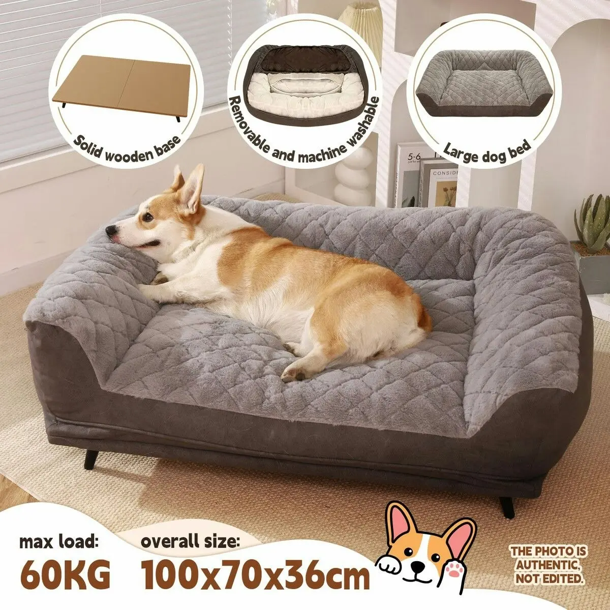 Pet Scene XL Pet Dog Bed Raised Soft Cushioned Puppy Sofa Couch Doggy Chaise Lounge Plush Furniture Removable Cover 100x70x36cm