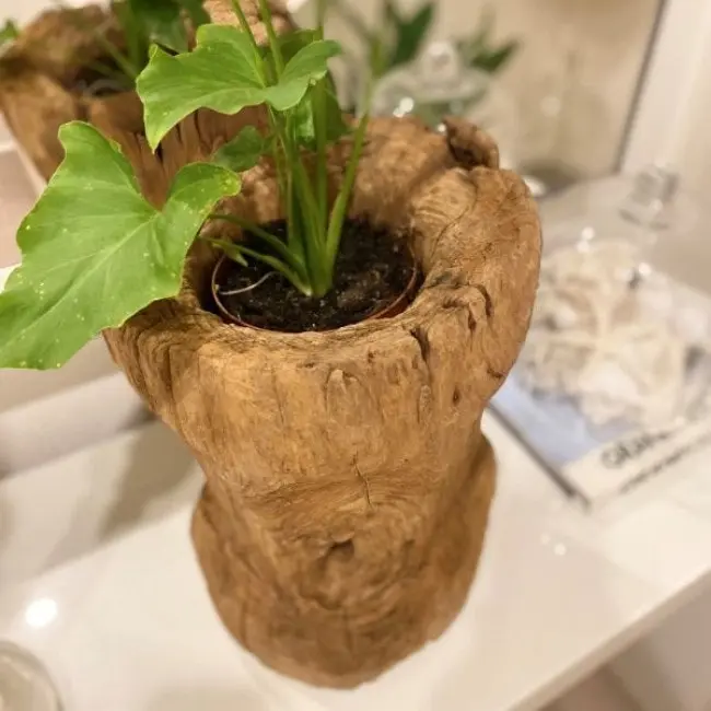 Club Santorini Attic Teak Pot