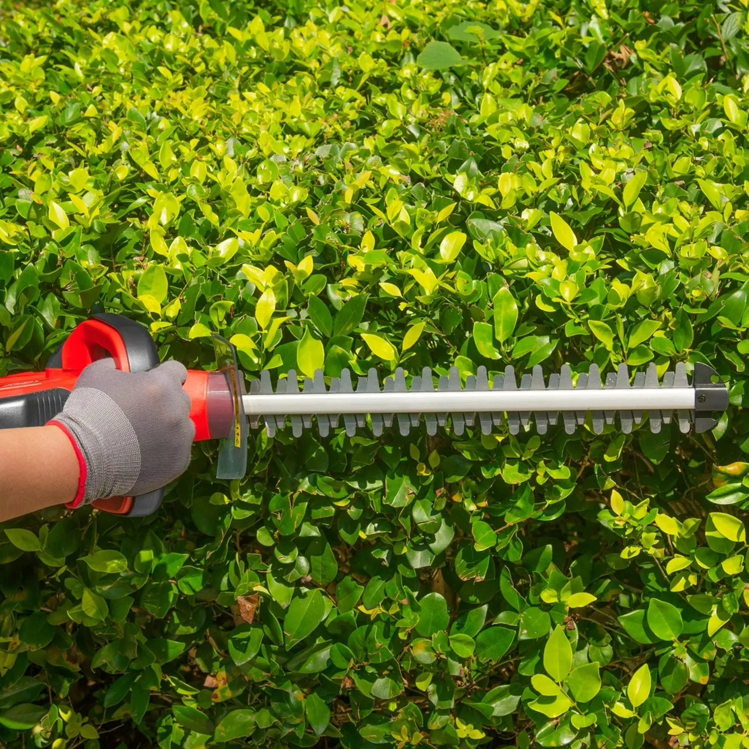 Topex 20V Cordless Hedge Trimmer for Shrub, Cutting, Trimming, Pruning Skin Only without Battery