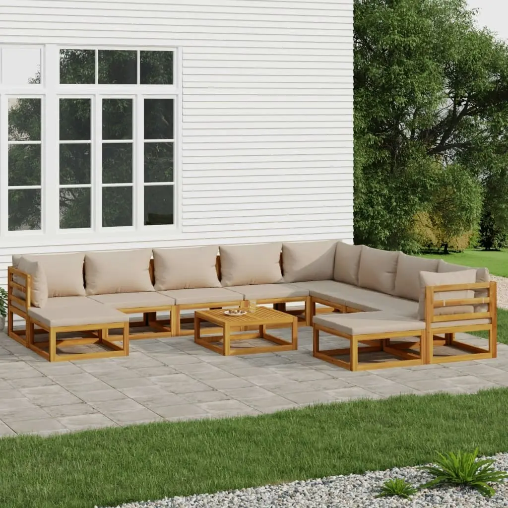 11 Piece Garden Lounge Set with Taupe Cushions Solid Wood 3155262