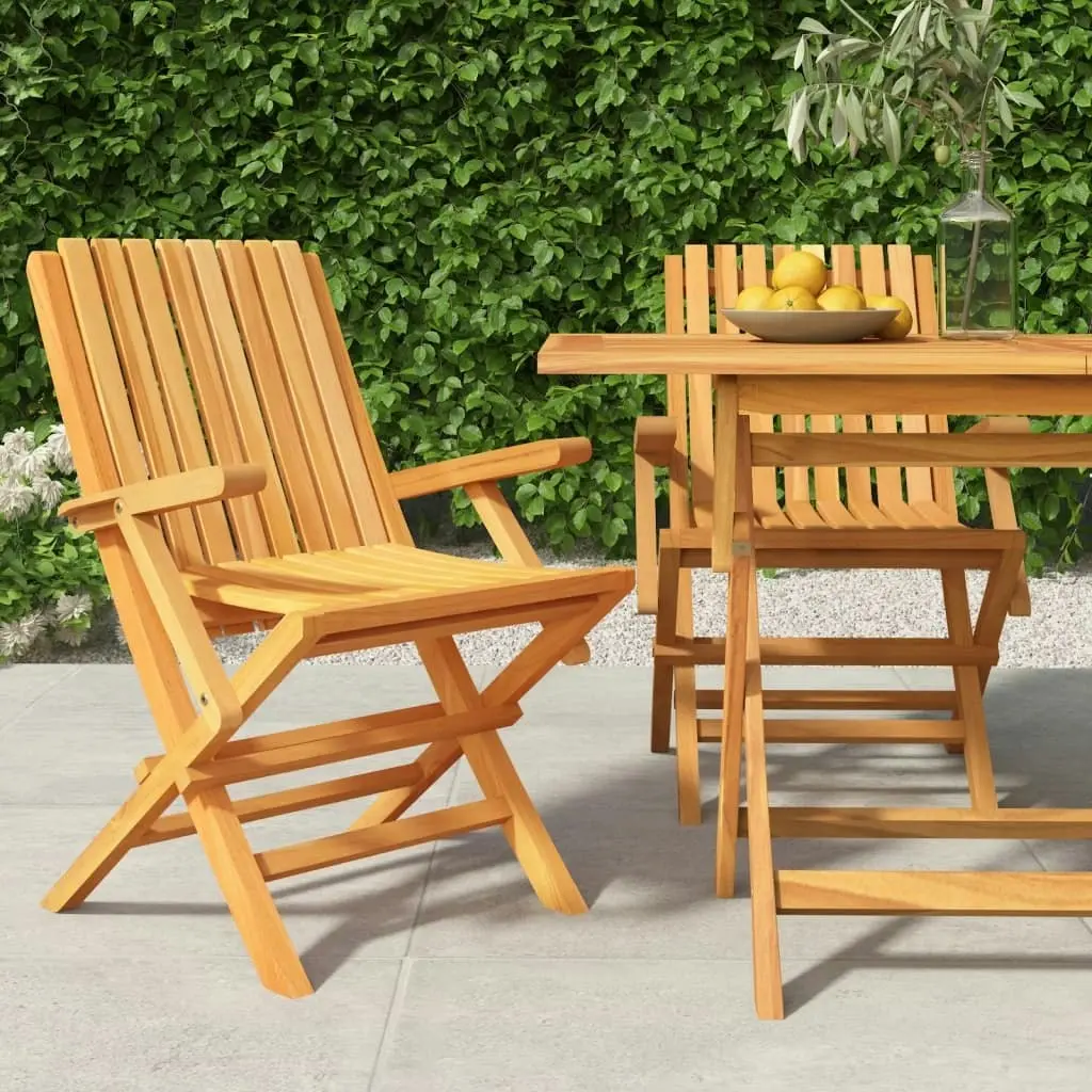 Folding Garden Chairs 2 pcs 61x67x90 cm Solid Wood Teak 362758