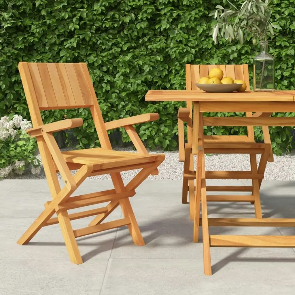 Folding Garden Chairs 2 pcs 55x61x90 cm Solid Wood Teak 362760