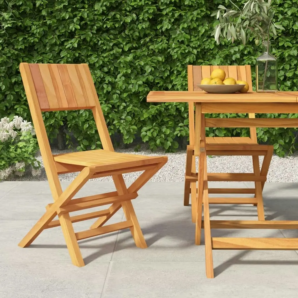 Folding Garden Chairs 2 pcs 47x61x90 cm Solid Wood Teak 362759