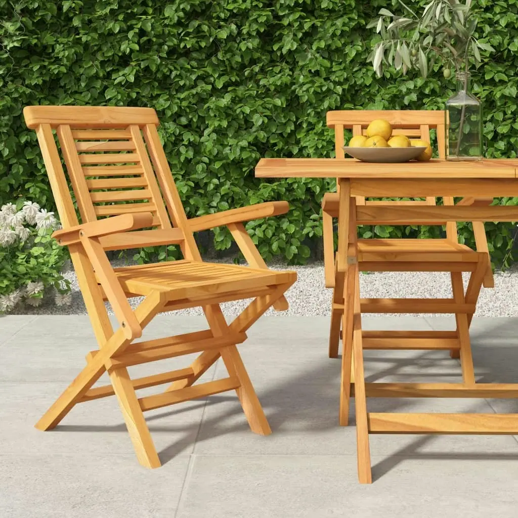 Folding Garden Chairs 2 pcs 56x63x90 cm Solid Wood Teak 362756