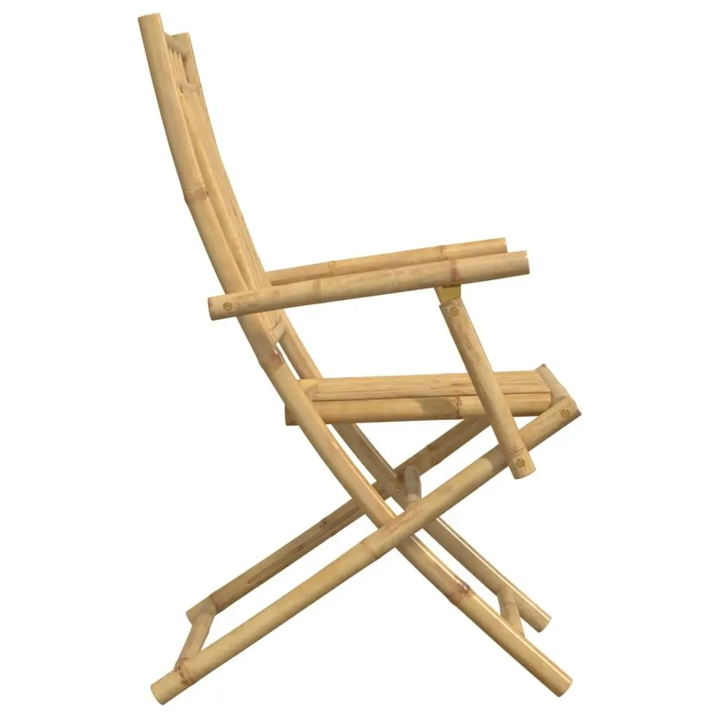 Folding Garden Chairs 2 pcs 53x66x99 cm Bamboo 368038