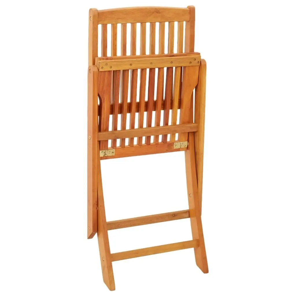 Folding Garden Chairs 2 pcs Solid Eucalyptus Wood 312451