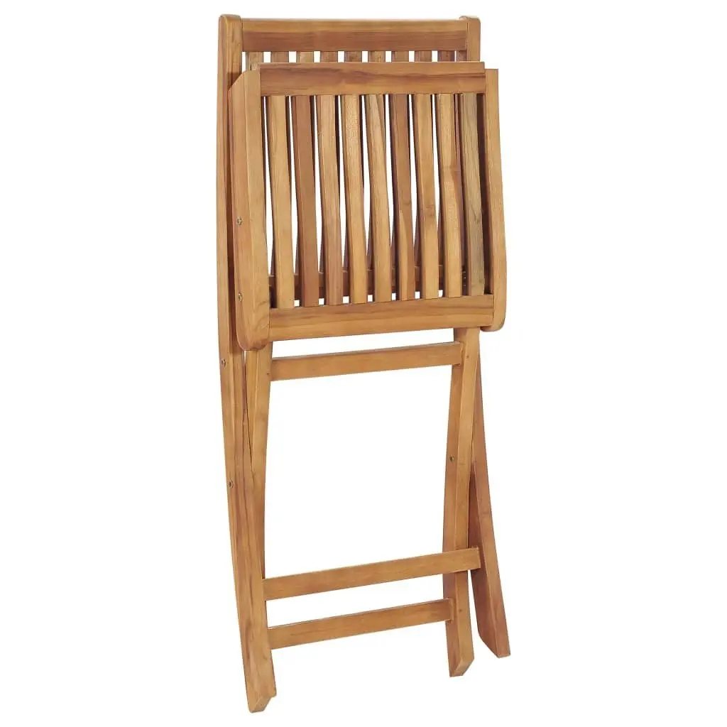 Folding Garden Chairs 2 pcs Solid Teak Wood 315105