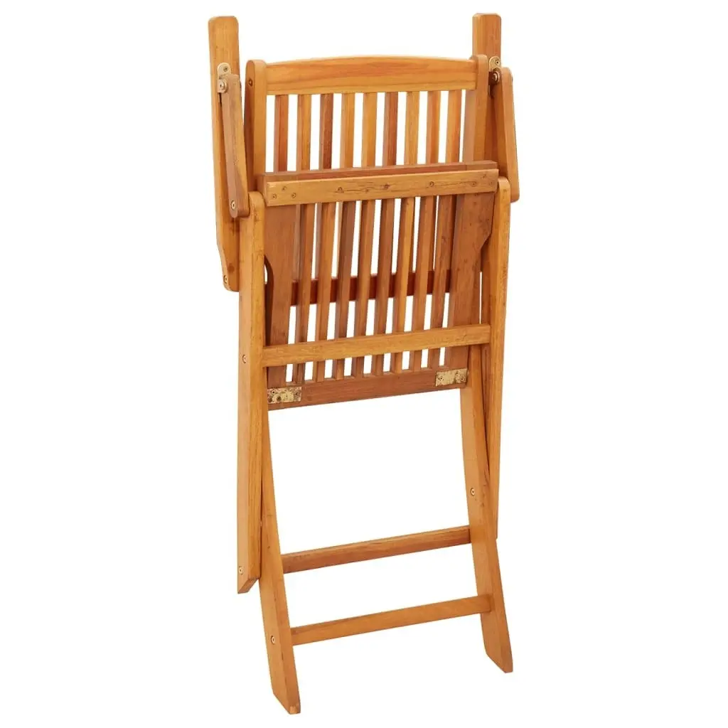 Folding Garden Chairs 2 pcs Solid Eucalyptus Wood 312449