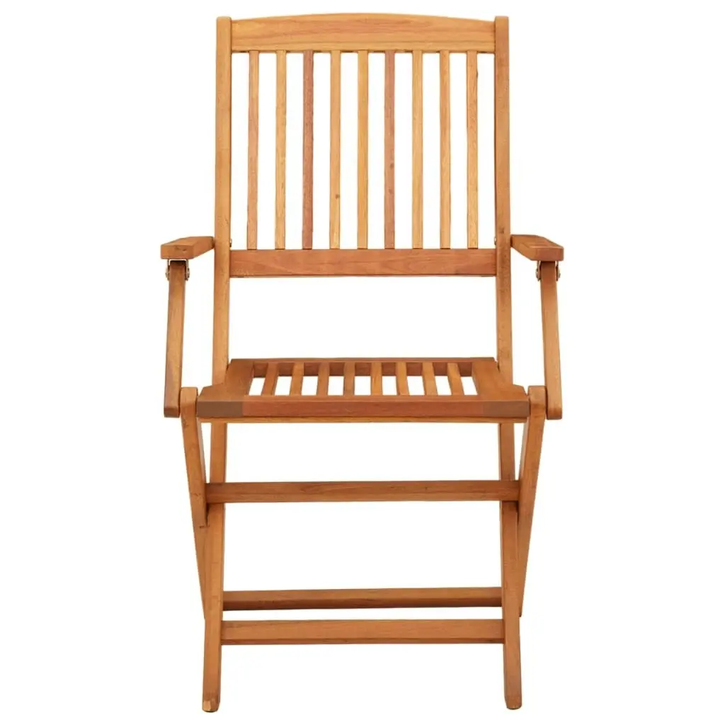 Folding Garden Chairs 2 pcs Solid Eucalyptus Wood 312449