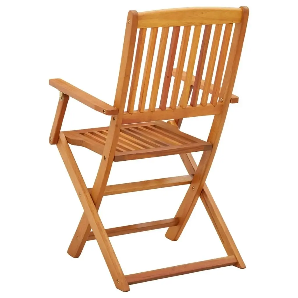 Folding Garden Chairs 2 pcs Solid Eucalyptus Wood 312449