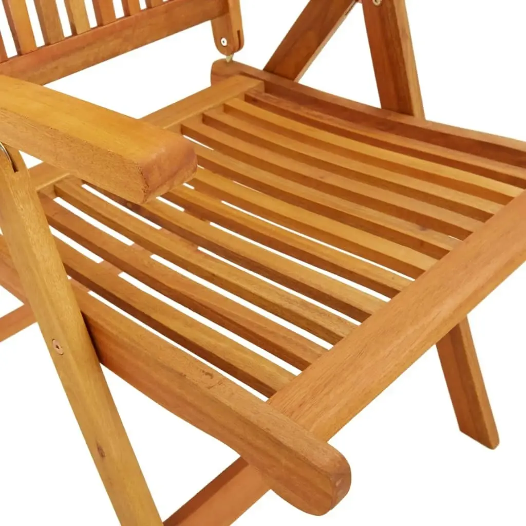 Folding Garden Chairs 2 pcs Solid Wood Eucalyptus 316069