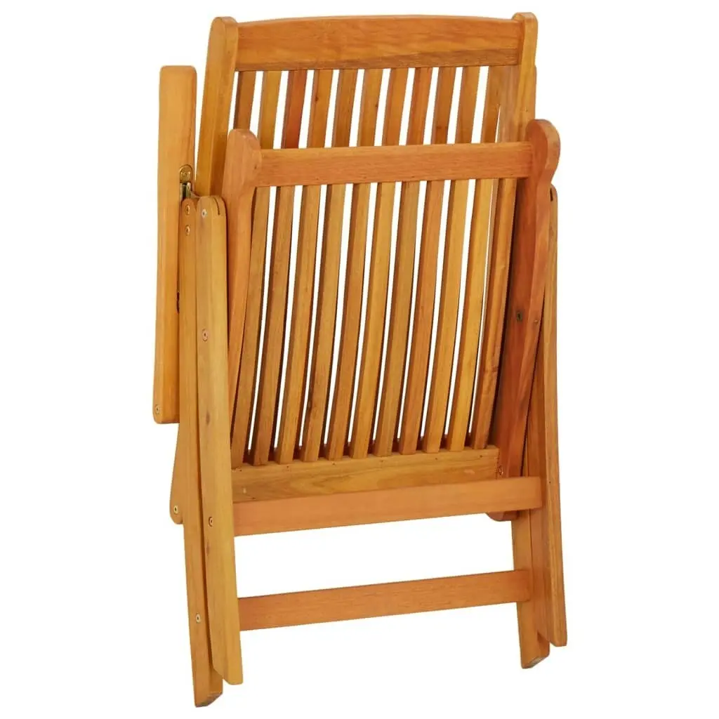 Folding Garden Chairs 2 pcs Solid Wood Eucalyptus 316069