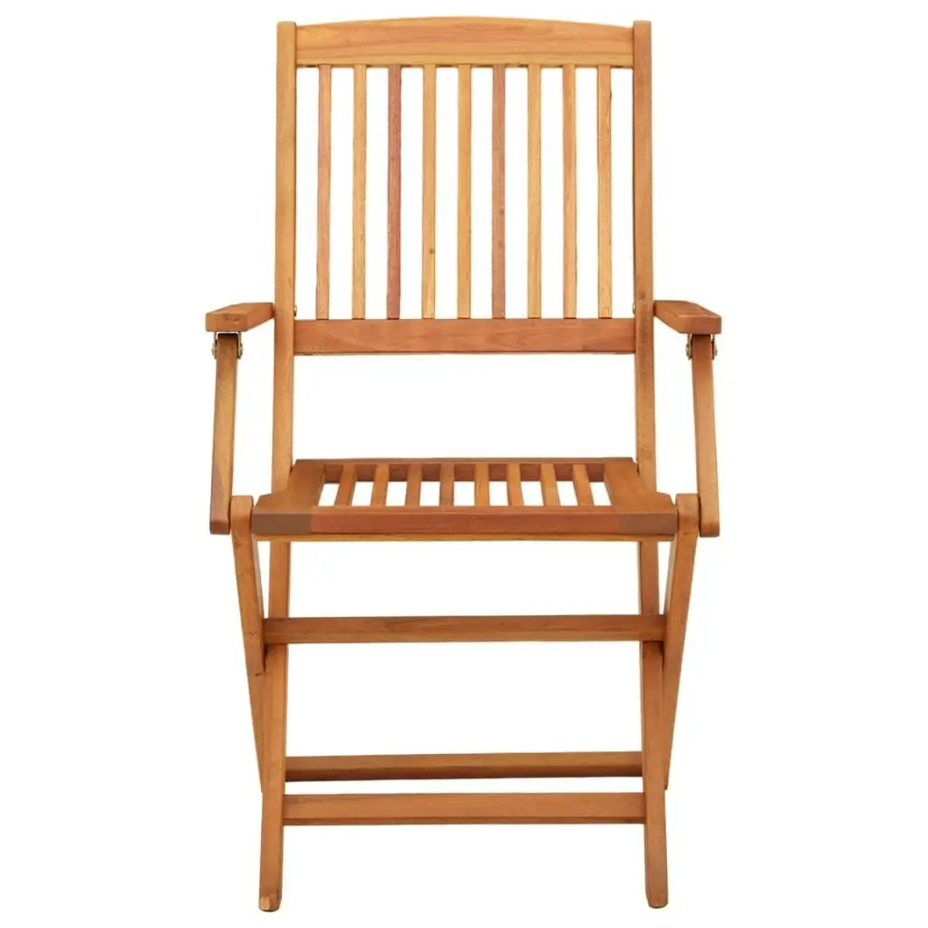 Folding Garden Chairs 4 pcs Solid Eucalyptus Wood 312450