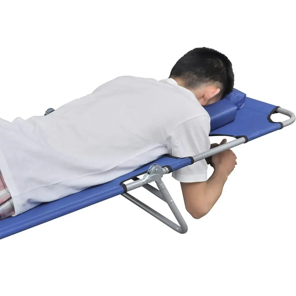 Folding Sun Lounger with Head Cushion Powder-coated Steel Blue 41481