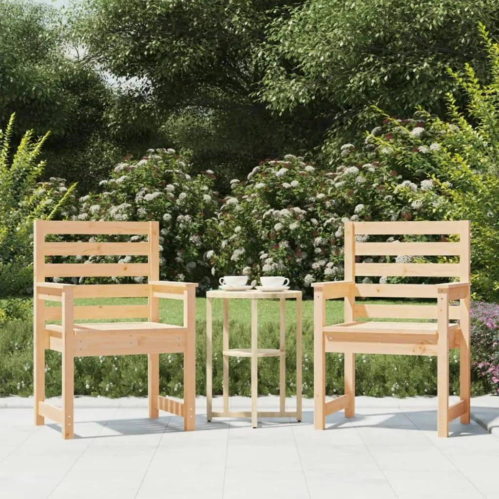 Garden Chairs 2 pcs 60x48x91 cm Solid Wood Pine 824053